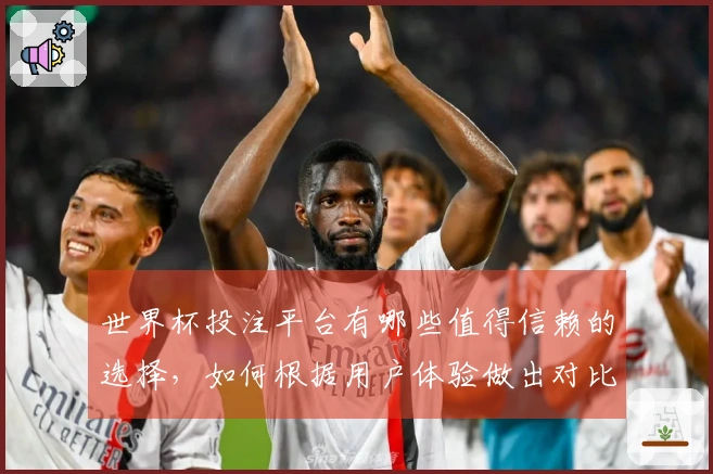 世界杯投注平台有哪些值得信赖的选择，如何根据用户体验做出对比？
