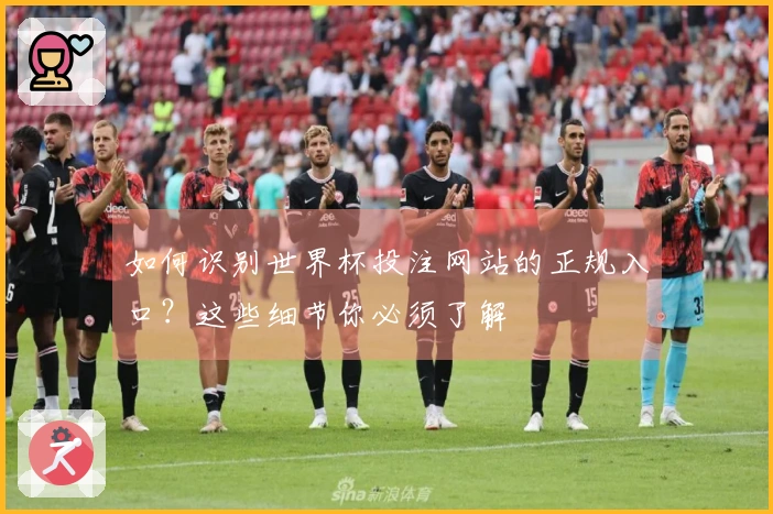 如何识别世界杯投注网站的正规入口？这些细节你必须了解