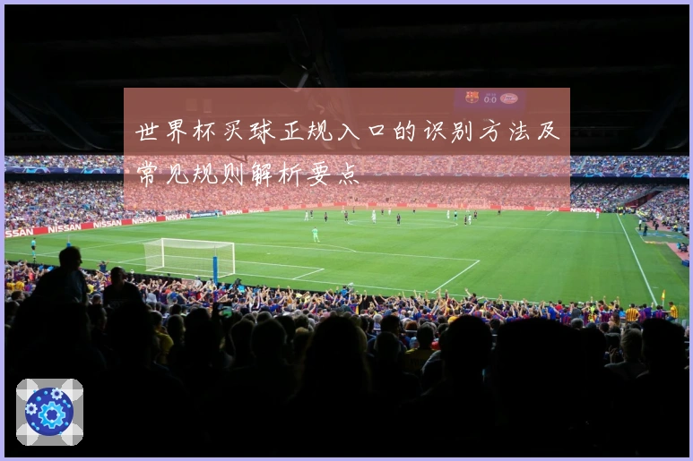 世界杯买球正规入口的识别方法及常见规则解析要点