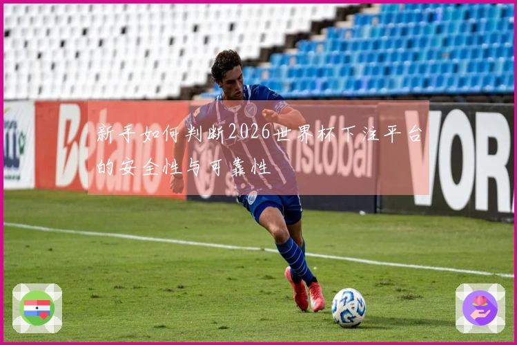 新手如何判断2026世界杯下注平台的安全性与可靠性