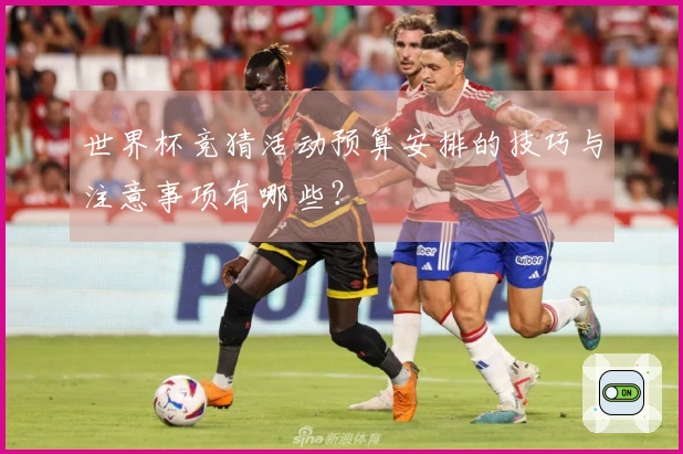 世界杯竞猜活动预算安排的技巧与注意事项有哪些？
