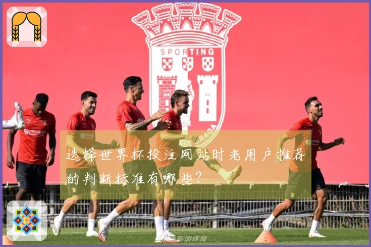 选择世界杯投注网站时老用户推荐的判断标准有哪些？