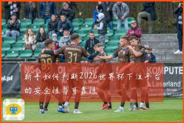 新手如何判断2026世界杯下注平台的安全性与可靠性