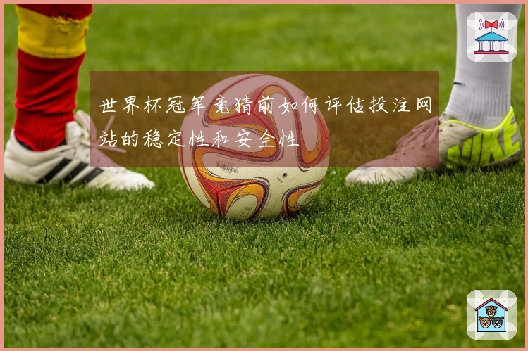世界杯冠军竞猜前如何评估投注网站的稳定性和安全性