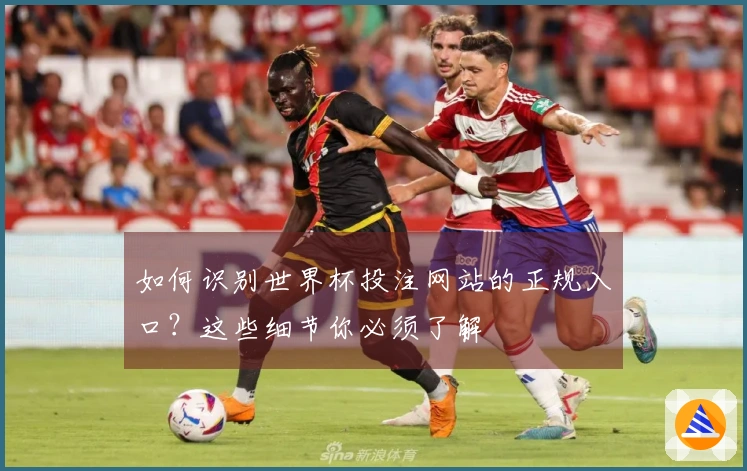 如何识别世界杯投注网站的正规入口？这些细节你必须了解