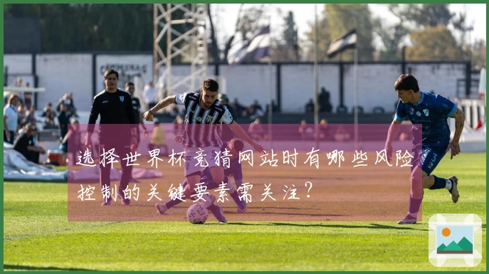 选择世界杯竞猜网站时有哪些风险控制的关键要素需关注？