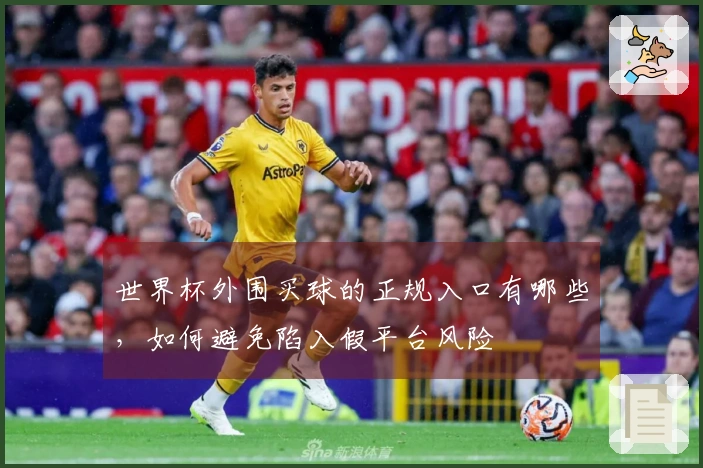 世界杯外围买球的正规入口有哪些，如何避免陷入假平台风险