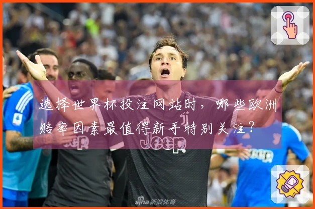 选择世界杯投注网站时，哪些欧洲赔率因素最值得新手特别关注？