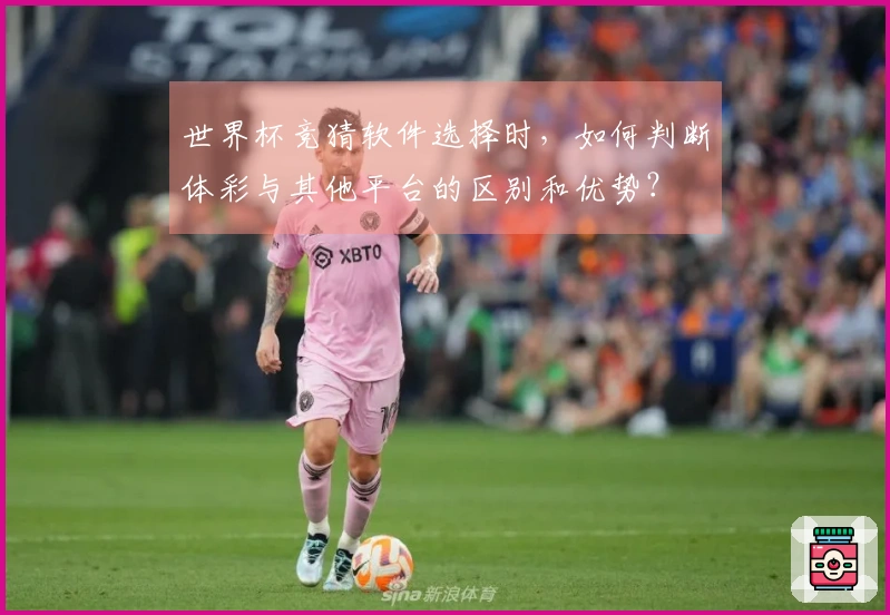 世界杯竞猜软件选择时，如何判断体彩与其他平台的区别和优势？