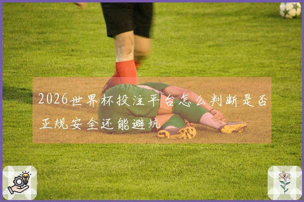 2026世界杯投注平台怎么判断是否正规安全还能避坑