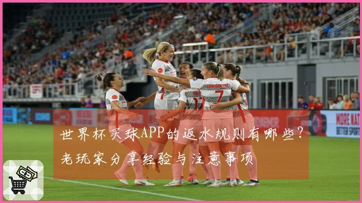 世界杯买球APP的返水规则有哪些？老玩家分享经验与注意事项