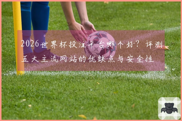 2026世界杯投注平台哪个好？评测五大主流网站的优缺点与安全性