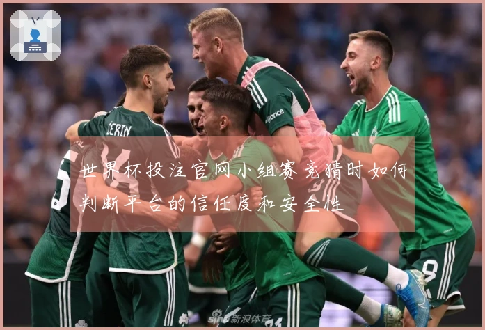 世界杯投注官网小组赛竞猜时如何判断平台的信任度和安全性