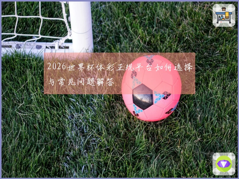 2026世界杯体彩正规平台如何选择与常见问题解答