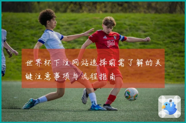 世界杯下注网站选择前需了解的关键注意事项与流程指南