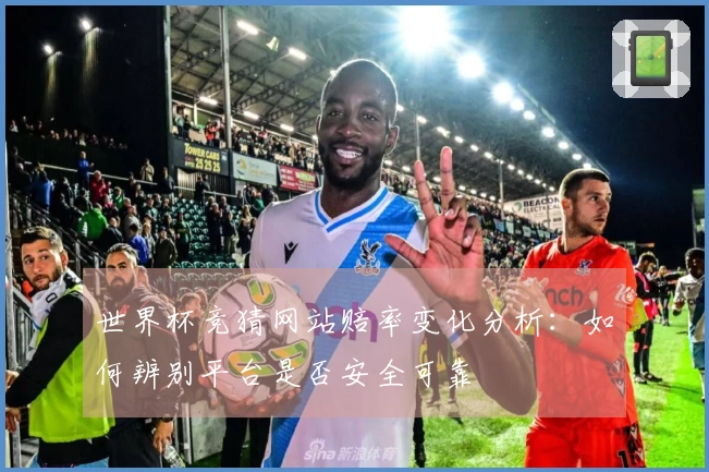 世界杯竞猜网站赔率变化分析：如何辨别平台是否安全可靠