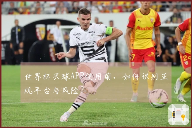 世界杯买球APP使用前，如何识别正规平台与风险？