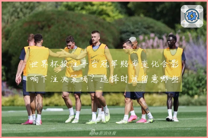 世界杯投注平台冠军赔率变化会影响下注决策吗?选择时该留意哪些重要信息?