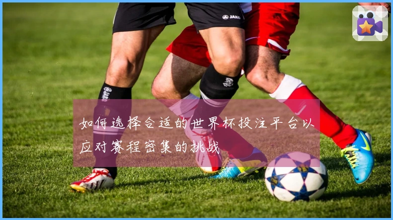 如何选择合适的世界杯投注平台以应对赛程密集的挑战