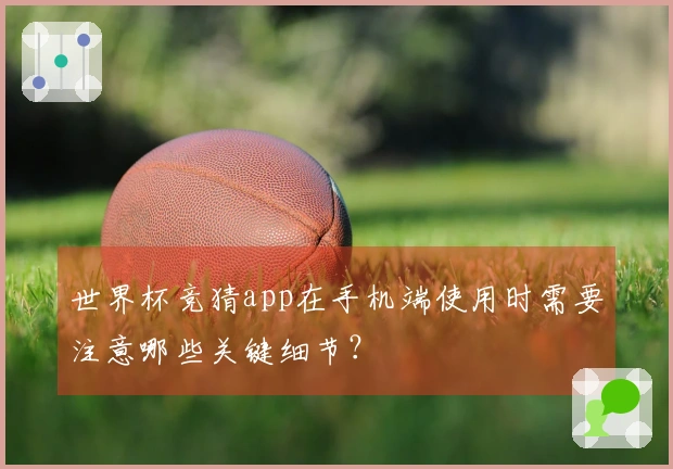 世界杯竞猜app在手机端使用时需要注意哪些关键细节？