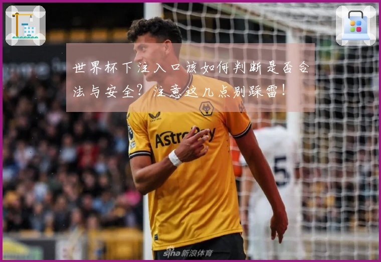 世界杯下注入口该如何判断是否合法与安全？注意这几点别踩雷！