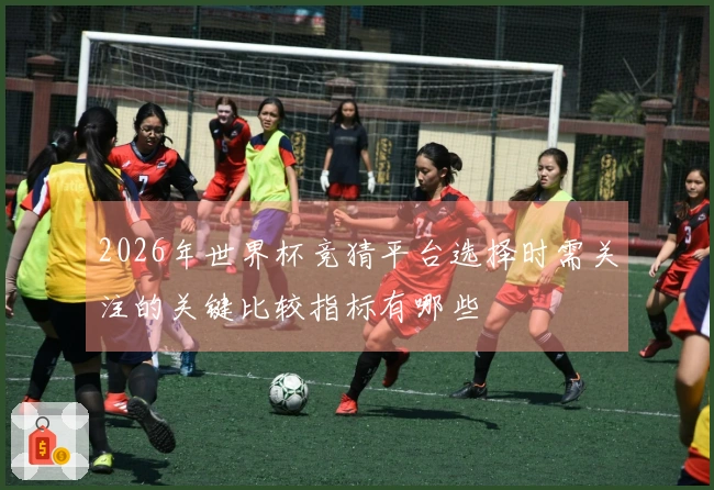 2026年世界杯竞猜平台选择时需关注的关键比较指标有哪些