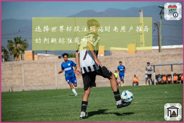 选择世界杯投注网站时老用户推荐的判断标准有哪些？