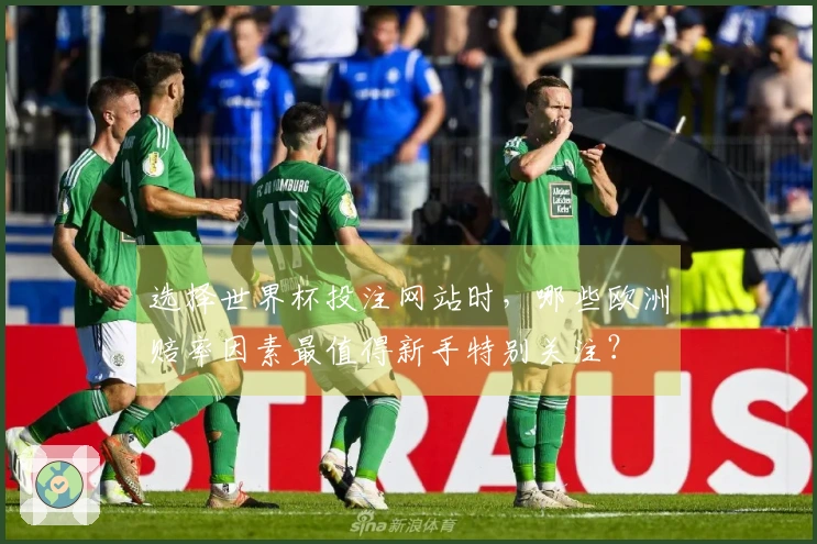 选择世界杯投注网站时，哪些欧洲赔率因素最值得新手特别关注？