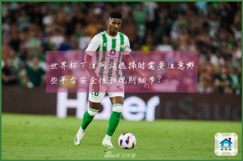 世界杯下注网站选择时需要注意哪些平台安全性和规则细节？