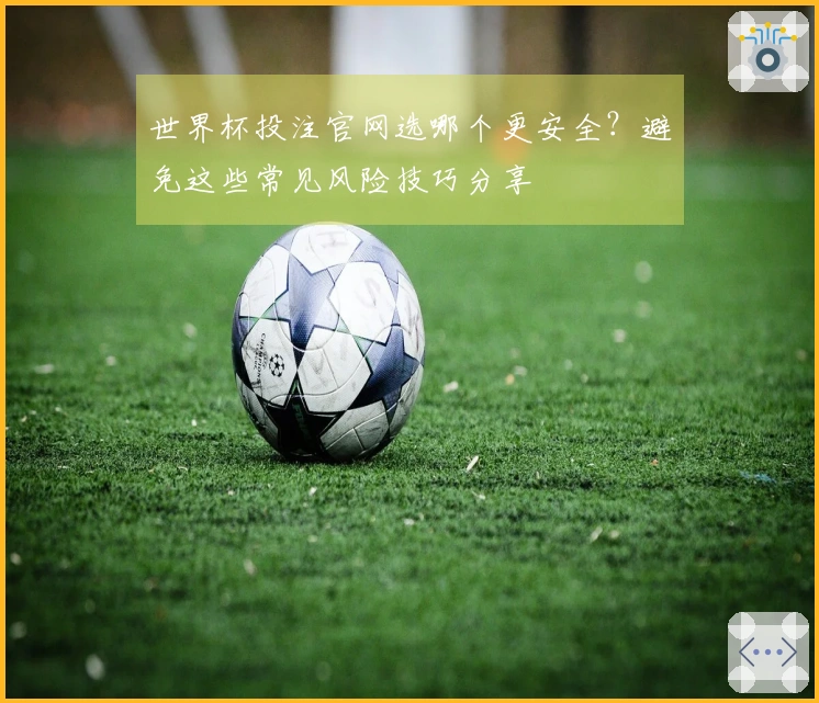 世界杯投注官网选哪个更安全？避免这些常见风险技巧分享