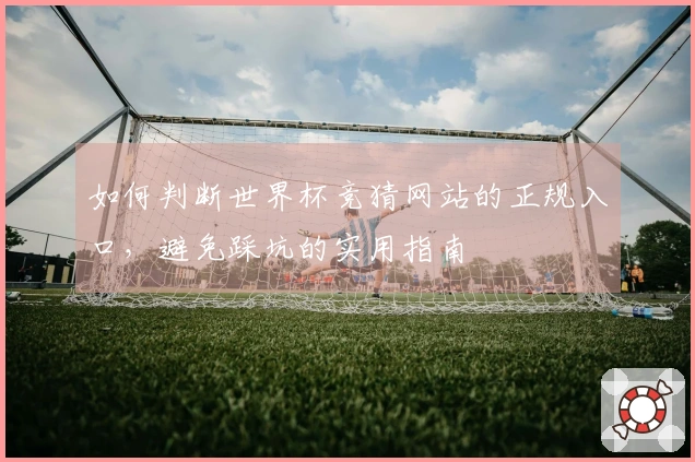 如何判断世界杯竞猜网站的正规入口，避免踩坑的实用指南