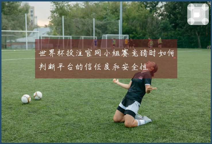 世界杯投注官网小组赛竞猜时如何判断平台的信任度和安全性