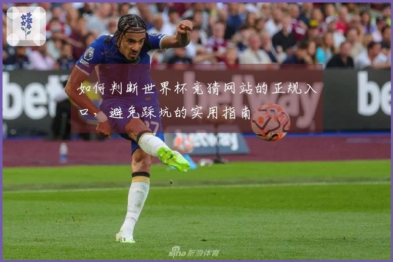 如何判断世界杯竞猜网站的正规入口，避免踩坑的实用指南