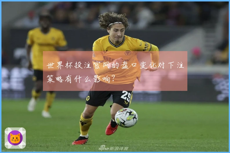 世界杯投注官网的盘口变化对下注策略有什么影响？