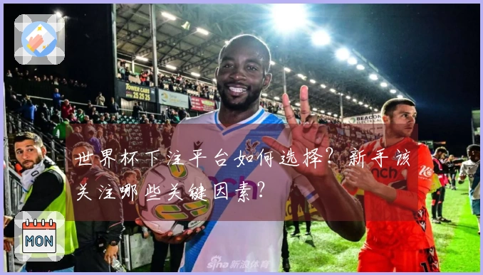 世界杯下注平台如何选择？新手该关注哪些关键因素？
