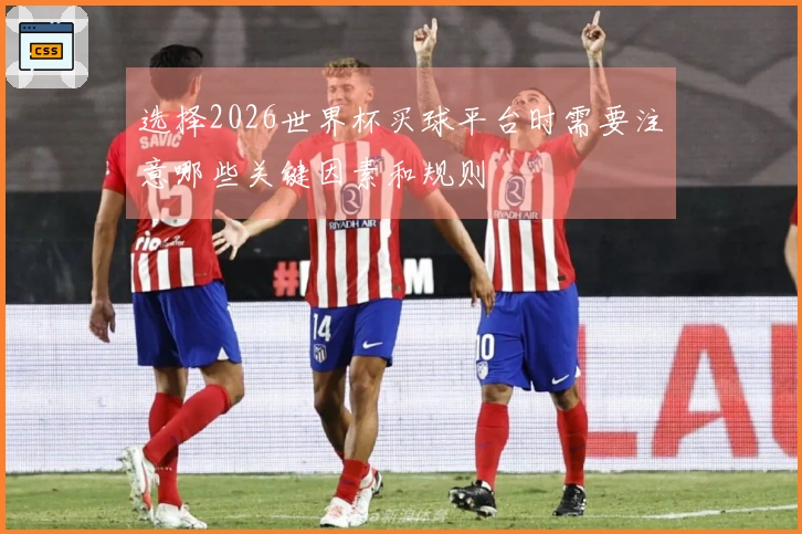 选择2026世界杯买球平台时需要注意哪些关键因素和规则