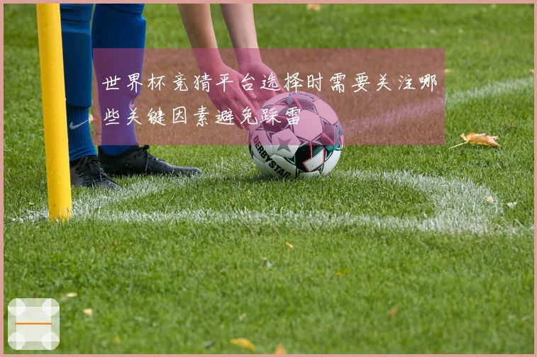 世界杯竞猜平台选择时需要关注哪些关键因素避免踩雷
