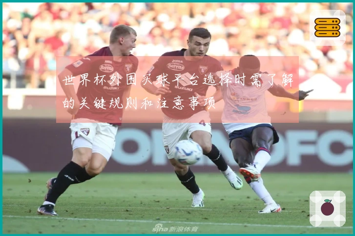 世界杯外围买球平台选择时需了解的关键规则和注意事项