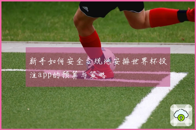 新手如何安全合规地安排世界杯投注app的预算与策略